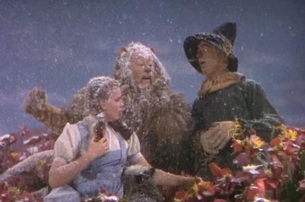 scena film Mago di OZ bonifica amianto