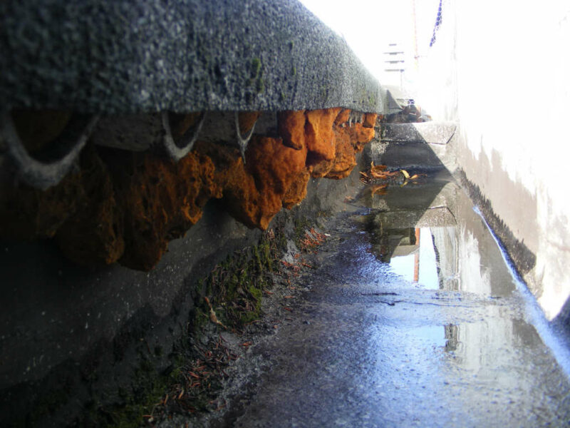 bonifica amianto sotto la guaina